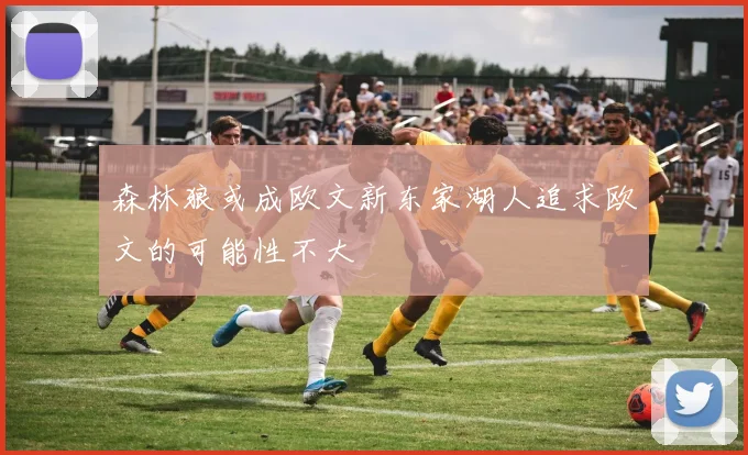 森林狼或成欧文新东家湖人追求欧文的可能性不大