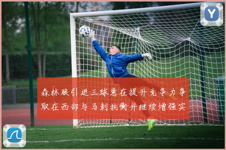 森林狼引进三球意在提升竞争力争取在西部与马刺抗衡并继续增强实力