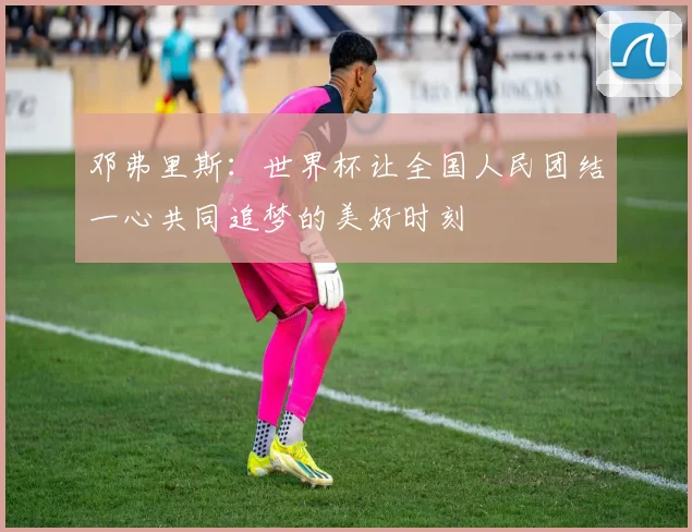 邓弗里斯：世界杯让全国人民团结一心共同追梦的美好时刻